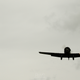 Illustration for article titled Goodwood Revival Highlights - Photo time